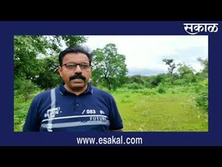 रानतलावाजवळ पिल्लांसह वाघांचे दर्शन  Latest Marathi News I Live Marathi News | आजच्या ठळक बातम्या |