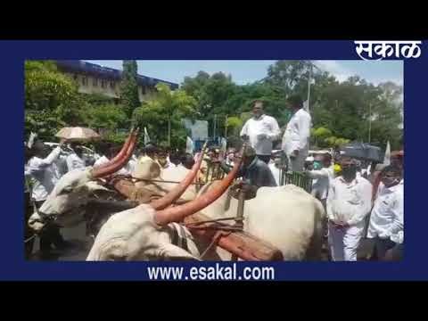 राजू शेट्टींच्या नेतृत्वाखाली सातारा जिल्हाधिकारी कार्यालयावर मोर्चा
