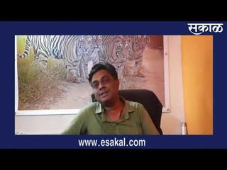 अधिवासाच्या लढ्यात वाघाचा मृत्यू | Latest Marathi News I Live Marathi News | आजच्या ठळक बातम्या |