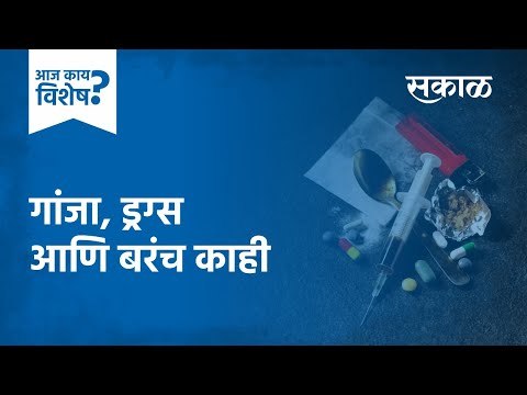 आज काय विशेष: गांजा ड्रग्स आणि बरंच काही | SSR Suicide | Deepika Padukone | Drugs | Canabis | Sakal