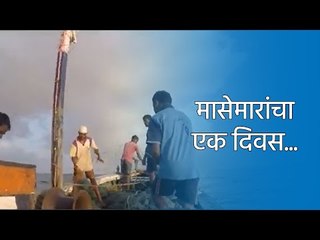मासेमारांचा एक दिवस... | masemari | hardwork | Sakal Media |