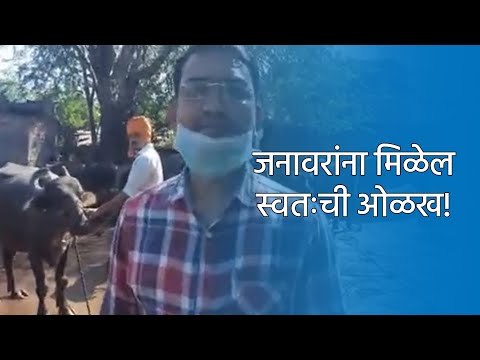 जनावरांना मिळेल स्वतःची ओळख! | Latest Marathi News I Live Marathi News | ठळक बातम्या | Sakal Media |