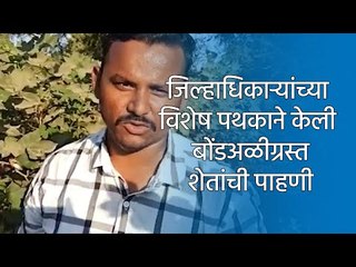 जिल्हाधिकाऱ्यांच्या विशेष पथकाने केली बोंडअळीग्रस्त  शेतांची पाहणी | Sakal Media |