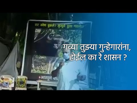 गव्या तुझ्या गुन्हेगारांना, होईल का रे शासन ? | Pune | Maharashtra | Sakal Media |