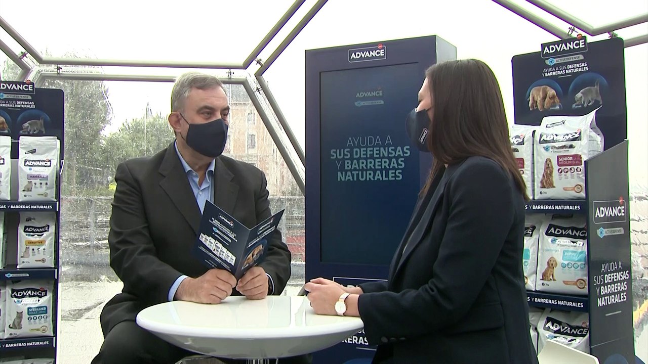 El Sistema Inmune es fundamental también en perros y gatos