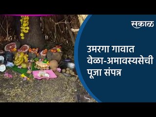 Video herunterladen: उमरगा गावात वेळा-अमावस्यसेची पूजा संपन्न | Osmanabad | Maharashtra | Sakal Media |