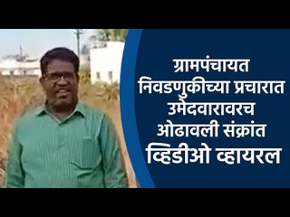 ग्रामपंचायत निवडणुकीच्या प्रचारात उमेदवारावरच ओढावली संक्रांत | Grampanchayat | Sakal Media | Sakal