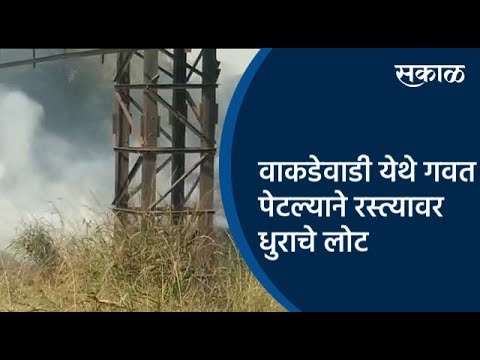 वाकडेवाडी येथे गवत पेटल्याने रस्त्यावर धुराचे लोट | Pune | Maharashtra | Sakal Media |