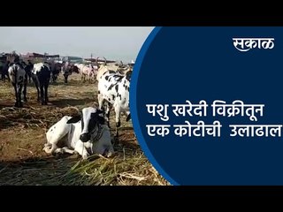 पशु खरेदी विक्रीतून एक कोटीची  उलाढाल | Aurangabad | Maharashtra | Sakal Media |
