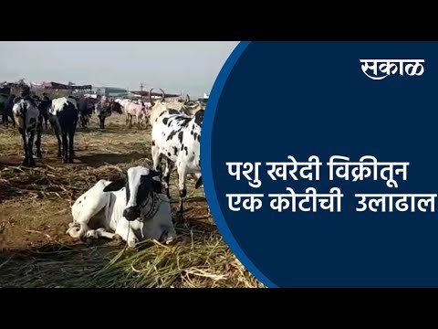 पशु खरेदी विक्रीतून एक कोटीची उलाढाल | Aurangabad | Maharashtra | Sakal Media |