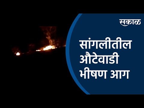 सांगलीतील औटेवाडी भीषण आग, गवतासह झाडे जळाली |Sangli | Fire| Sakal Media |