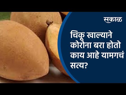 व्हायरल सत्य : चिकू खाल्याने कोरोना बरा होतो काय आहे यामगचं सत्य? | Sakal Media |