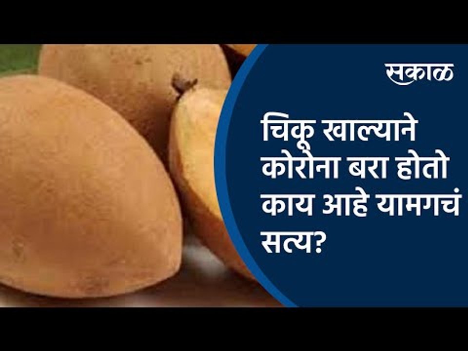 व्हायरल सत्य : चिकू खाल्याने कोरोना बरा होतो काय आहे यामगचं सत्य? | Sakal Media |
