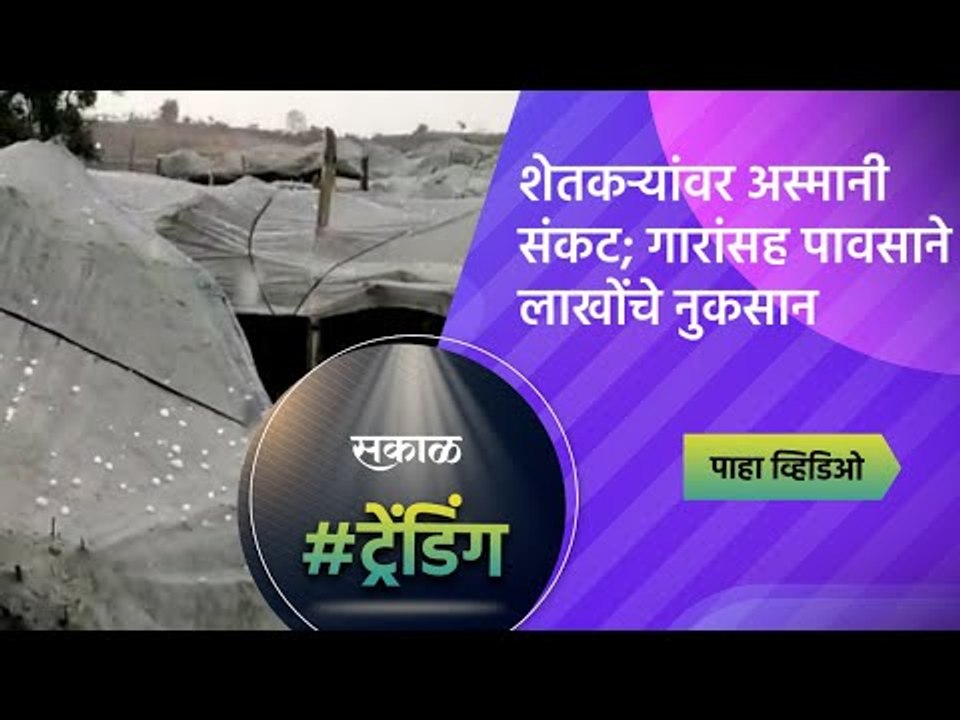 शेतकऱ्यांवर अस्मानी संकट; गारांसह पावसाने लाखोंचे नुकसान | Pune | Maharashtra | Sakal Media |