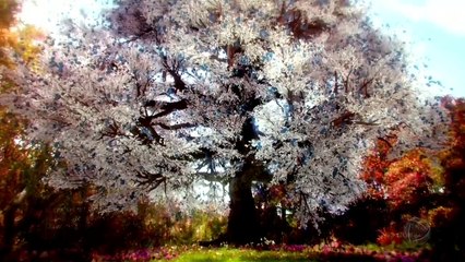 GÊNESIS  28/04/2021 Capítulo 72 Parte Única HDTV Completo