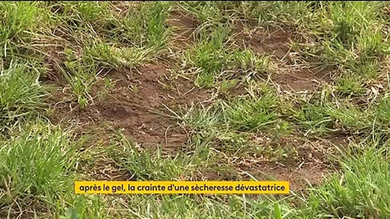 Environnement : la crainte d'une sécheresse dévastatrice
