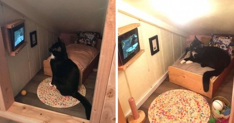 Un homme transforme l'espace derrière un mur de sa maison en chambre miniature pour son chat