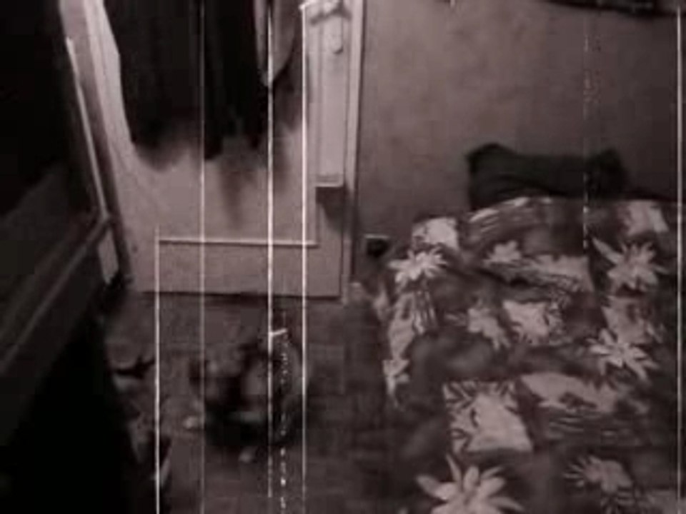 Avez vous déjà vu un chat danser le rock