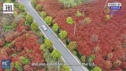 China, U.S. can be game-changers in fighting climate change