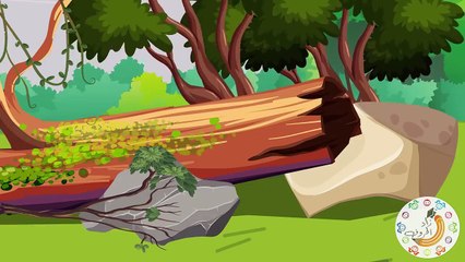 زاد الحكايا - قصص اطفال - هيا ننقذ الأرنب