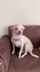 Nice to meet you qutee