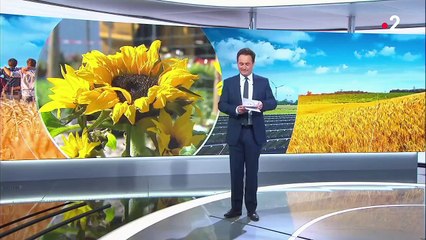 Lyon : la société protectrice des végétaux donne une seconde vie aux plantes