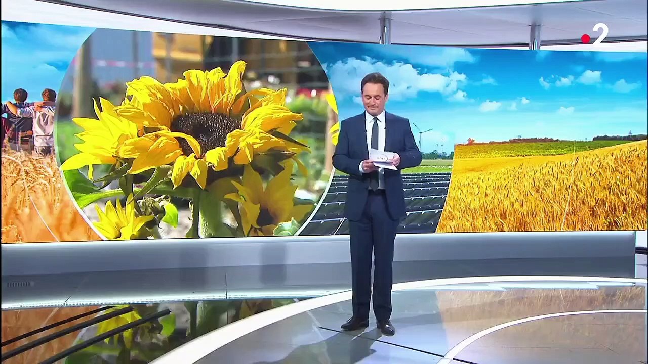 Lyon : la société protectrice des végétaux donne une seconde vie aux plantes