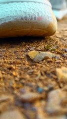 Evening vibes | vibes | mj ultimate creationz