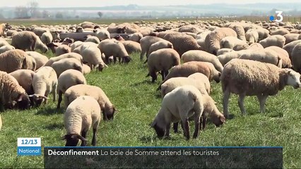 Baie de Somme : les touristes sont attendus en nombre à l’occasion des ponts de mai