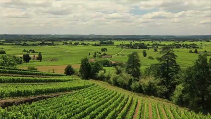 Bottles from Bordeaux You Should Buy Right Now