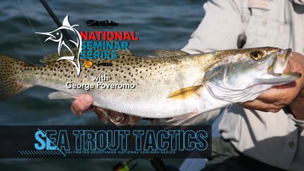 Episode 5 - Sea Trout Tactics