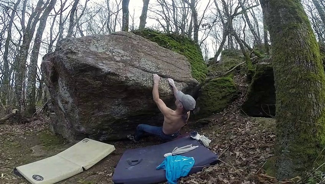 Yzeron - Grand lièvre