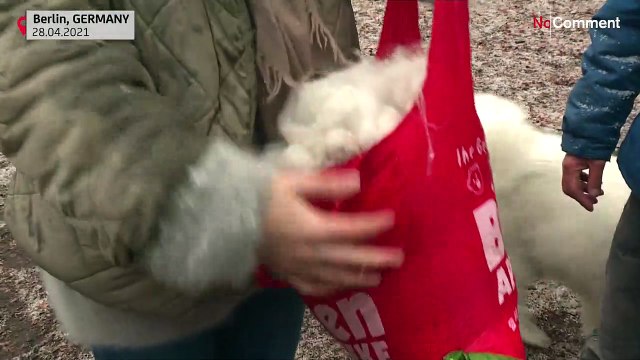 Немецкий стартап нашел необычное сырье для производства одежды