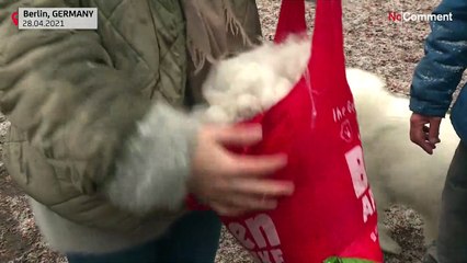 Немецкий стартап нашел необычное сырье для производства одежды