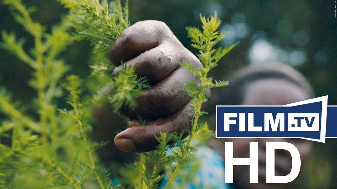 Das Fieber Trailer Deutsch German (2021)