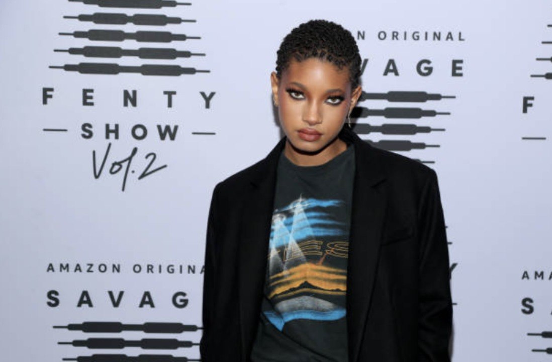 Willow Smith's New Song With Travis Barker Is the Definition of Pop-Punk