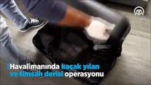 Yer: Atatürk Havalimanı… Valizi açtıklarında şok oldular