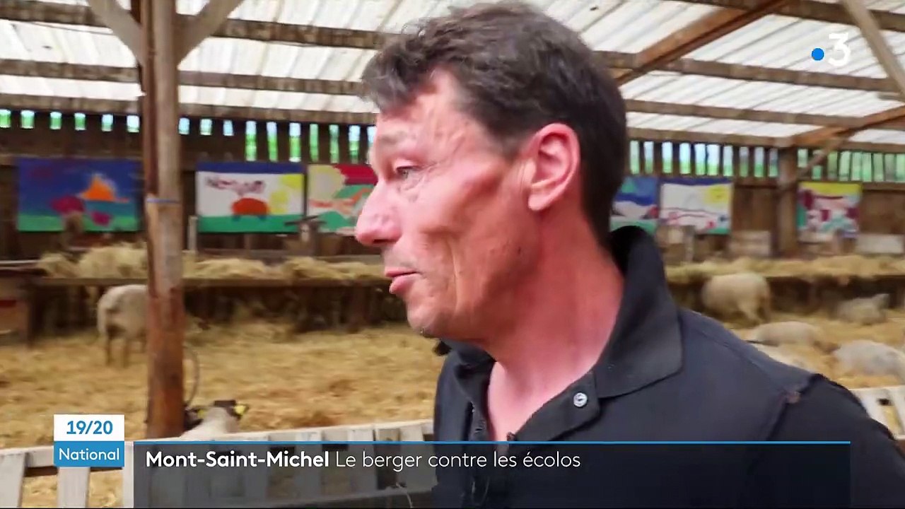 Mont-Saint-Michel : un berger contre les écologistes dans le cadre de la Loi Littoral