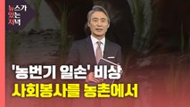 [뉴있저] '농번기 일손' 비상...사회봉사를 농촌에서 / YTN