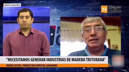 Necesitamos generar industrias de madera triturada