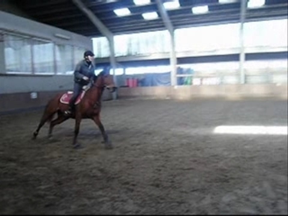 Ivoire (l)