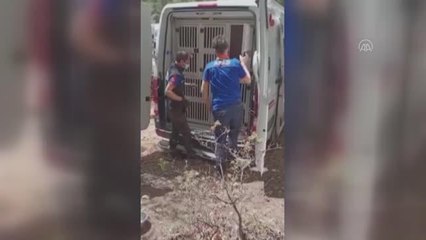 Kaybolan otizmli çocuğu arama çalışmaları sürüyor