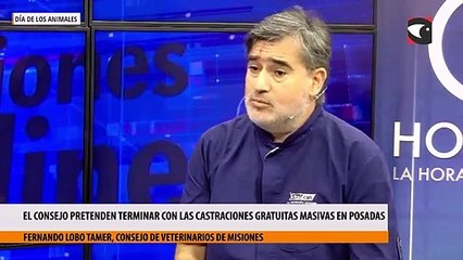 El Consejo pretenden terminar con las castraciones gratuitas masivas en Posadas