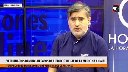 Veterinarios denuncian casos de ejercicio ilegal de la medicina animal en la provincia