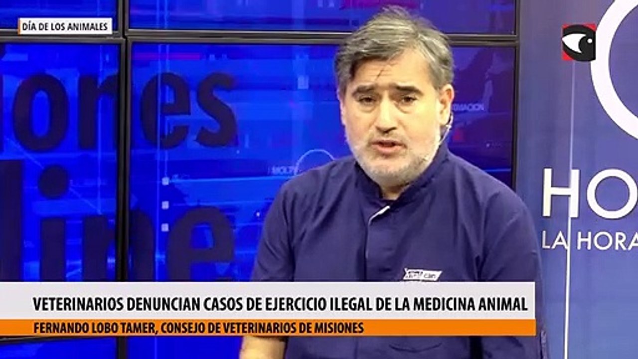 Veterinarios denuncian casos de ejercicio ilegal de la medicina animal en la provincia