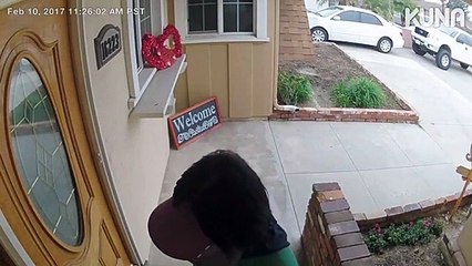 Kapıya broşür bırakan kadının aklını alan köpek