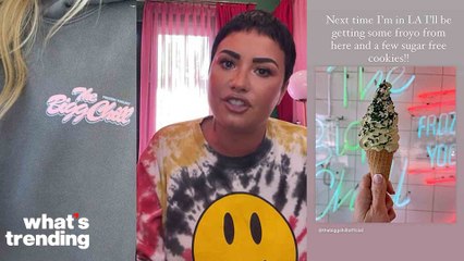 Demi Lovato's Backlash with The Bigg Chill and Their "Diet Culture Vultures" Explained