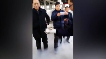 Dondurulmuş balık tekrar canlanır mı?