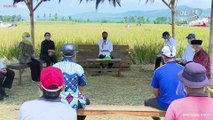 Dialog Presiden dengan Petani di Malang Terkait Stok & Impor Beras