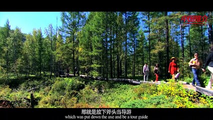 《中国推介·绿水青山》：阿尔山 China Recommendation-Lucid Water Lush Mountain： Aershan
